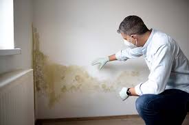 Best HVAC Mold Inspection and Cleaning  in Raymond, WI